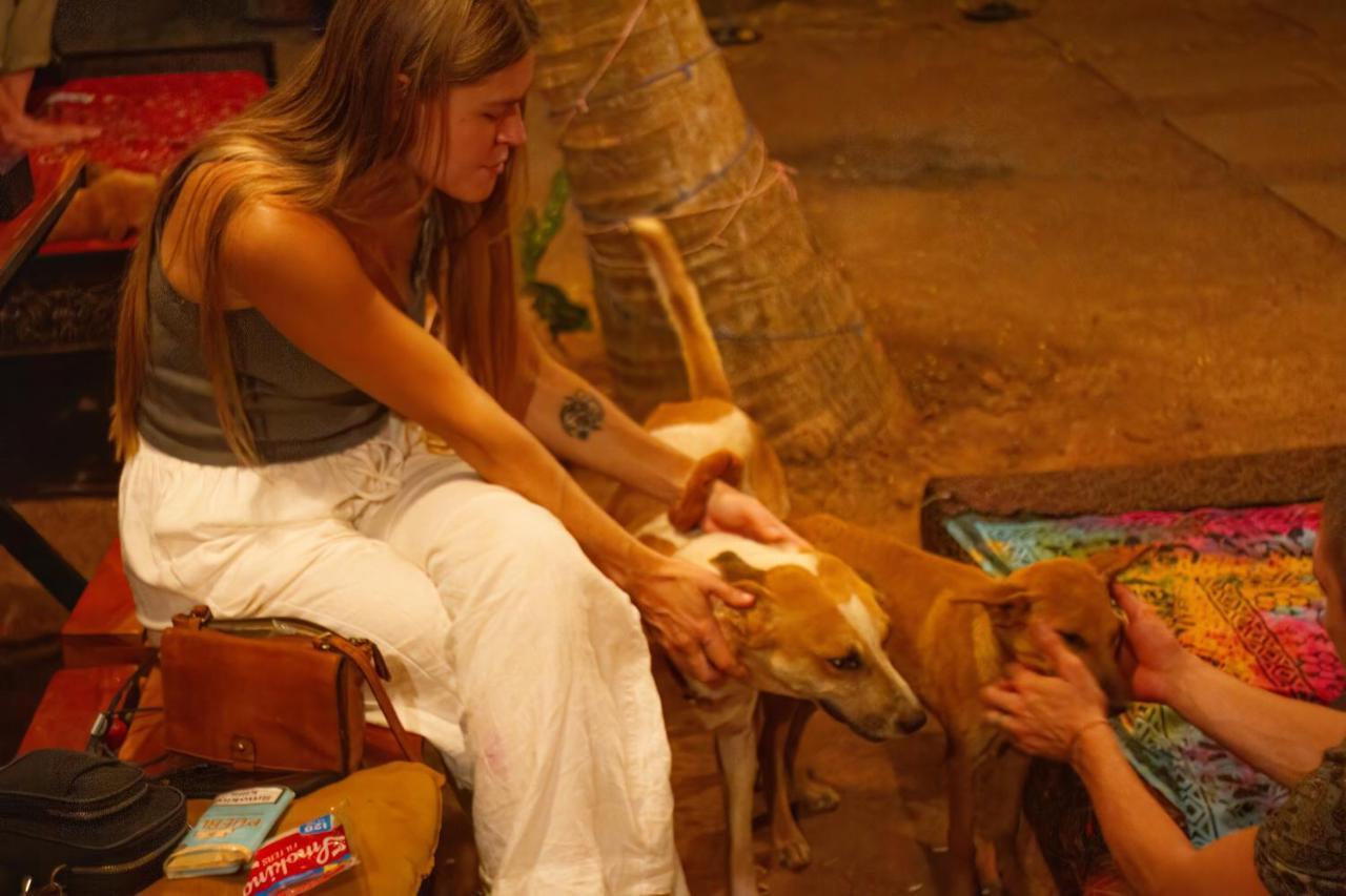 Spirithouse Hostel Arambol Extérieur photo